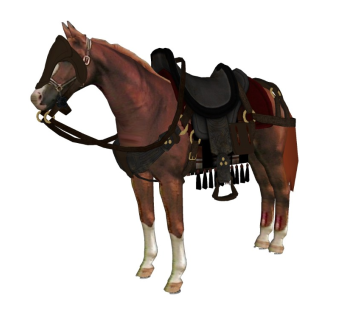 精品动物模型  马 (1)